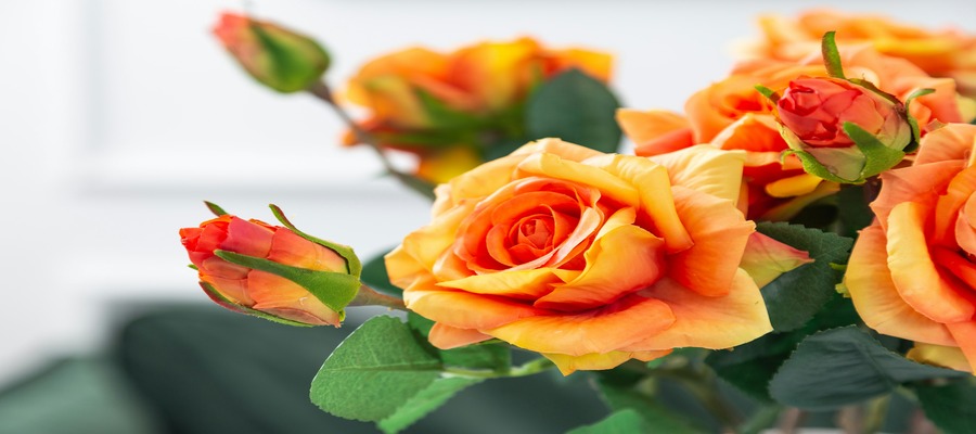 فثسف سثقدهذث حقختثذف